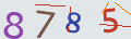 verifycode